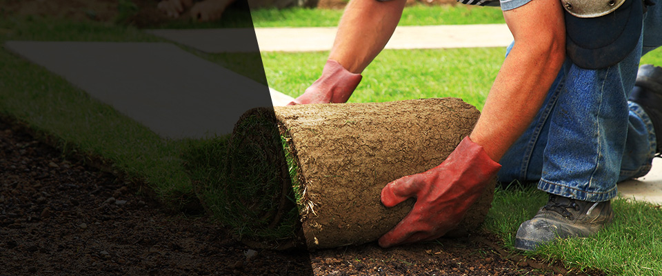 Teutopolis Landscapers